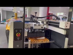 Máquina de barniz UV de la serie FHSGJ