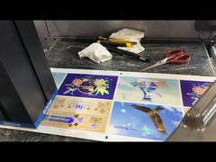 Máquina de estampado y barnizado de papel de rodillo a rodillo Impresora de mejora de etiquetas digitales