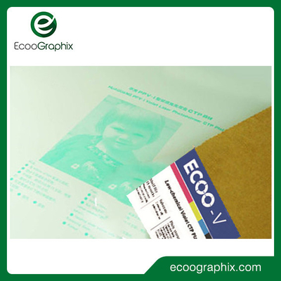 Placa violeta negativa de Digitaces Photopolymer CTP para la impresión del periódico