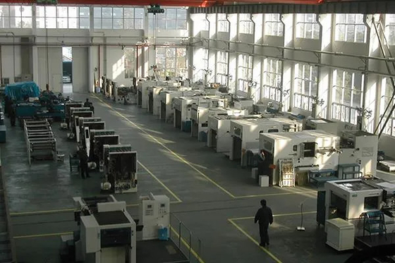 Máquina de corte a presión para estampado de papel de alta eficiencia Ecoo-TDS800