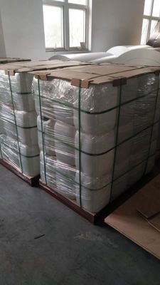 sustancias químicas termales de la impresión del desarrollador de la placa de 20L CTP