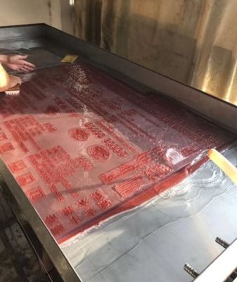 FP-900 Procesador de placas Flexo CTP basado en disolventes